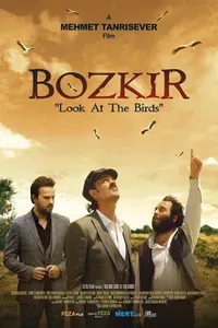 Bozkır Kuşlara Bak Kuşlara