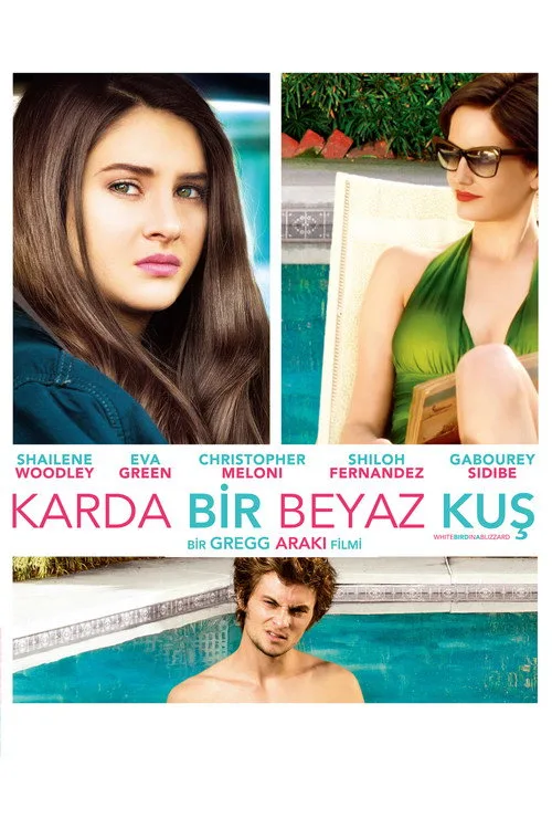 Karda Bir Beyaz Kuş
